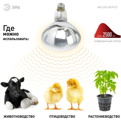 Лампочка инфракрасная  ИКЗ 220-250 R127 E27