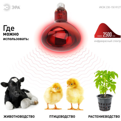 Лампочка инфракрасная  ИКЗК 230-150 R127